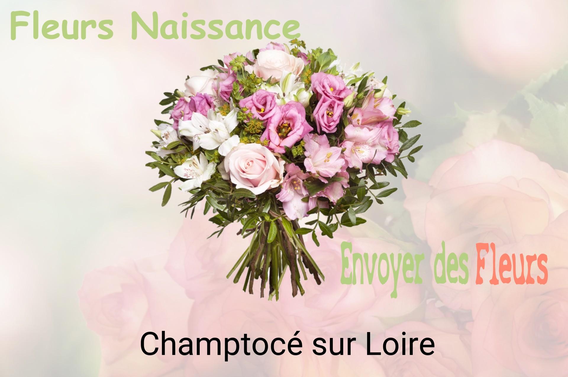 Bouquet de fleurs de naissance livré à Champtocé-sur-Loire