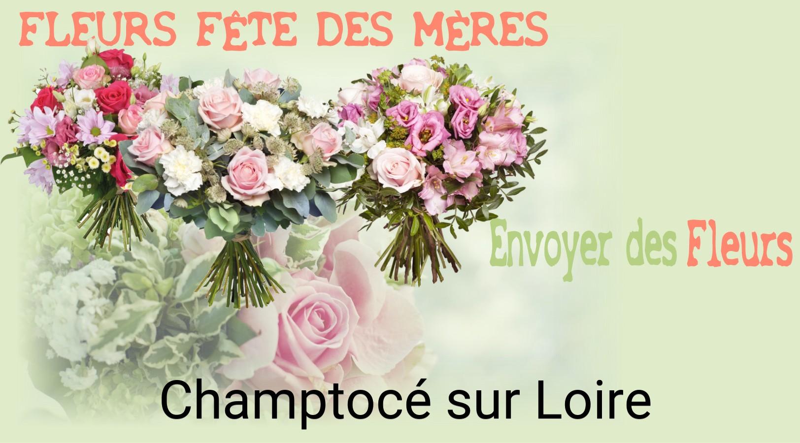 Bouquet de Fête des Mères livré à Champtocé-sur-Loire